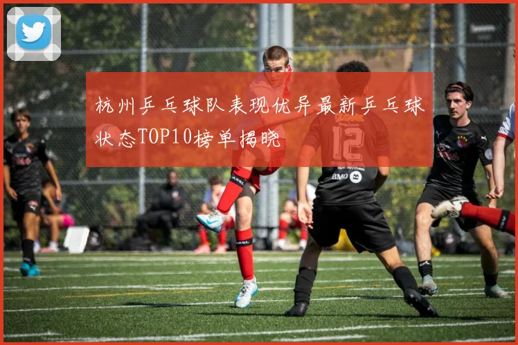 杭州乒乓球队表现优异最新乒乓球状态TOP10榜单揭晓