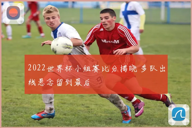 2022世界杯小组赛比分揭晓 多队出线悬念留到最后