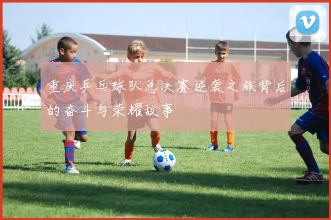 重庆乒乓球队总决赛逆袭之旅背后的奋斗与荣耀故事